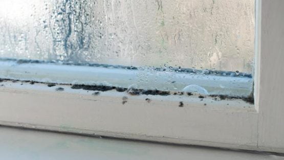 Condensation leads to mould on this window