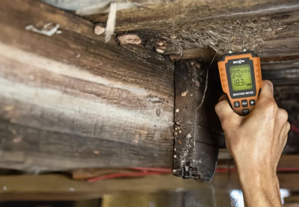 damp-meter