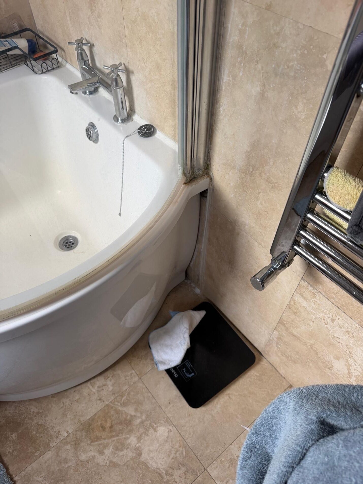 Localised Leak & Condensation Survey in Wandsworth (SW18)