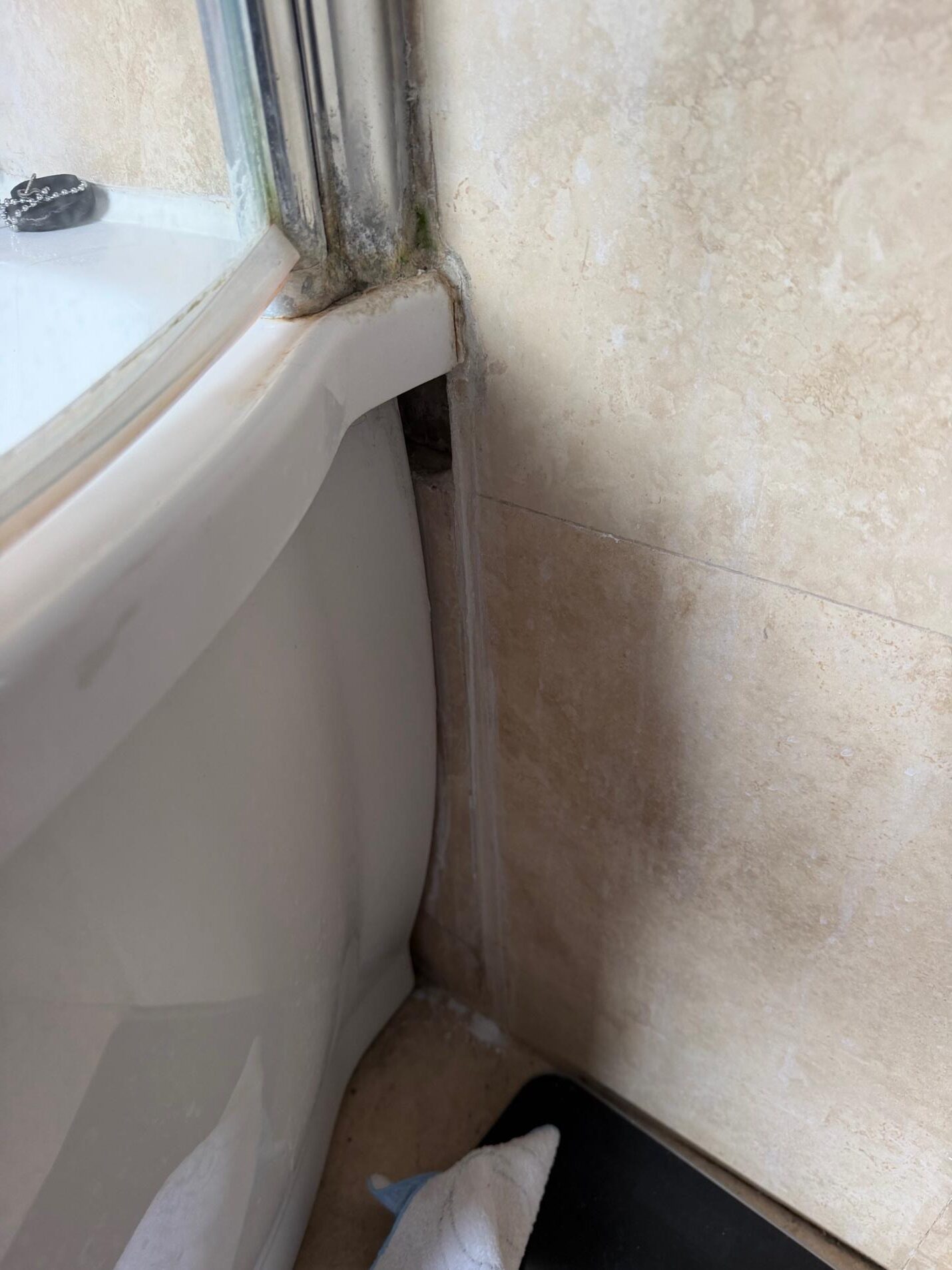Level 2 Damp Investigation in Wandsworth (SW18)